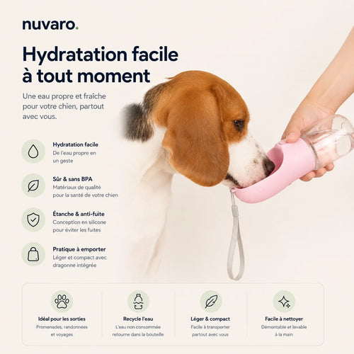 Gourde Chien Portable