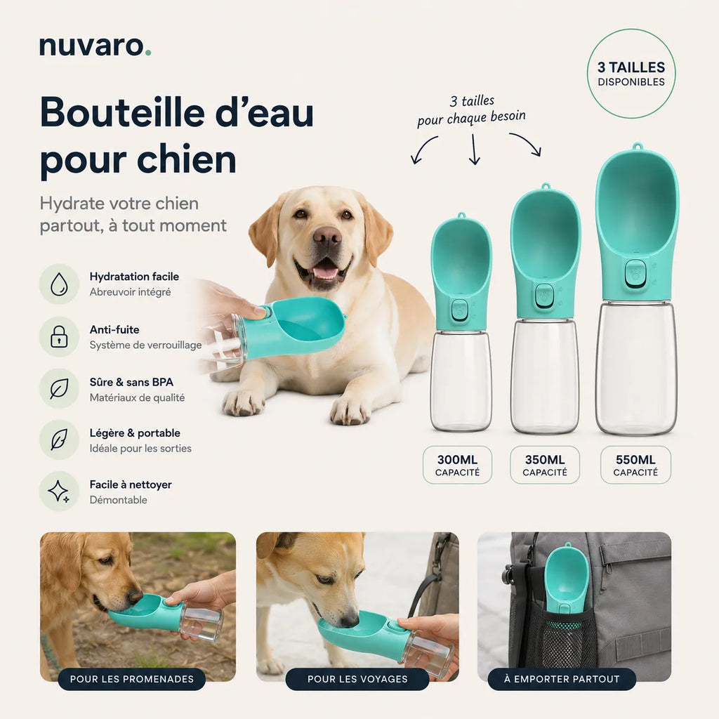 Gourde Chien Portable